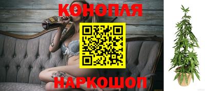 прущие грибы Канаш