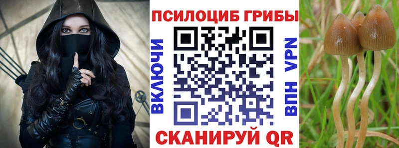 Галлюциногенные грибы Magic Shrooms  закладки  Калуга 