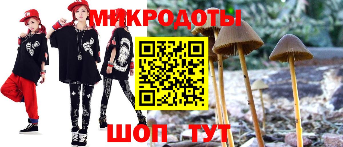 Псилоцибиновые грибы Cubensis  Вход с VPN  Калуга 