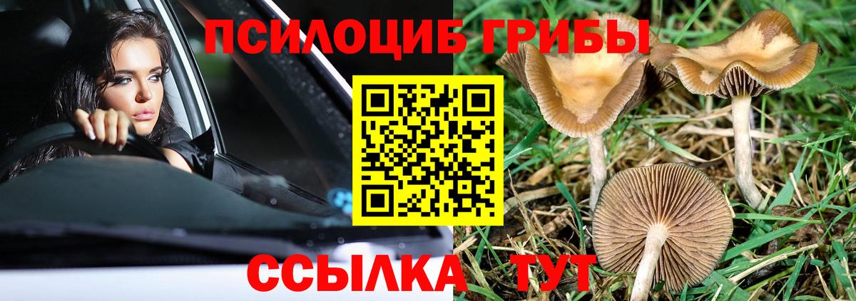 Псилоцибиновые грибы MAGIC MUSHROOMS Калуга